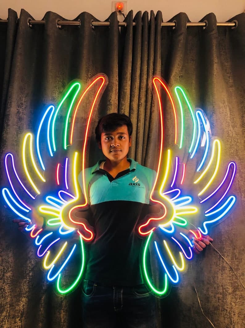 Multicolor Angel Wings